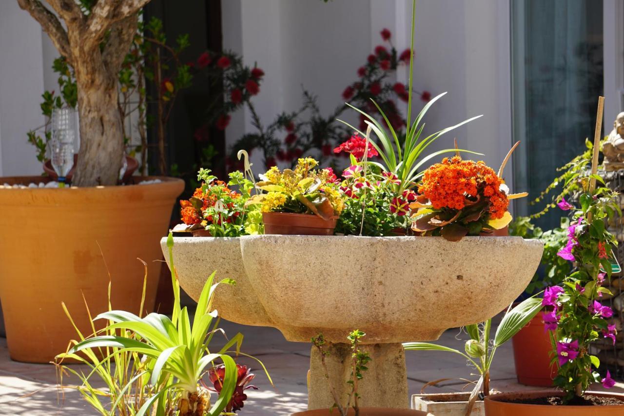 Los Arcos Villa Marbella Ngoại thất bức ảnh
